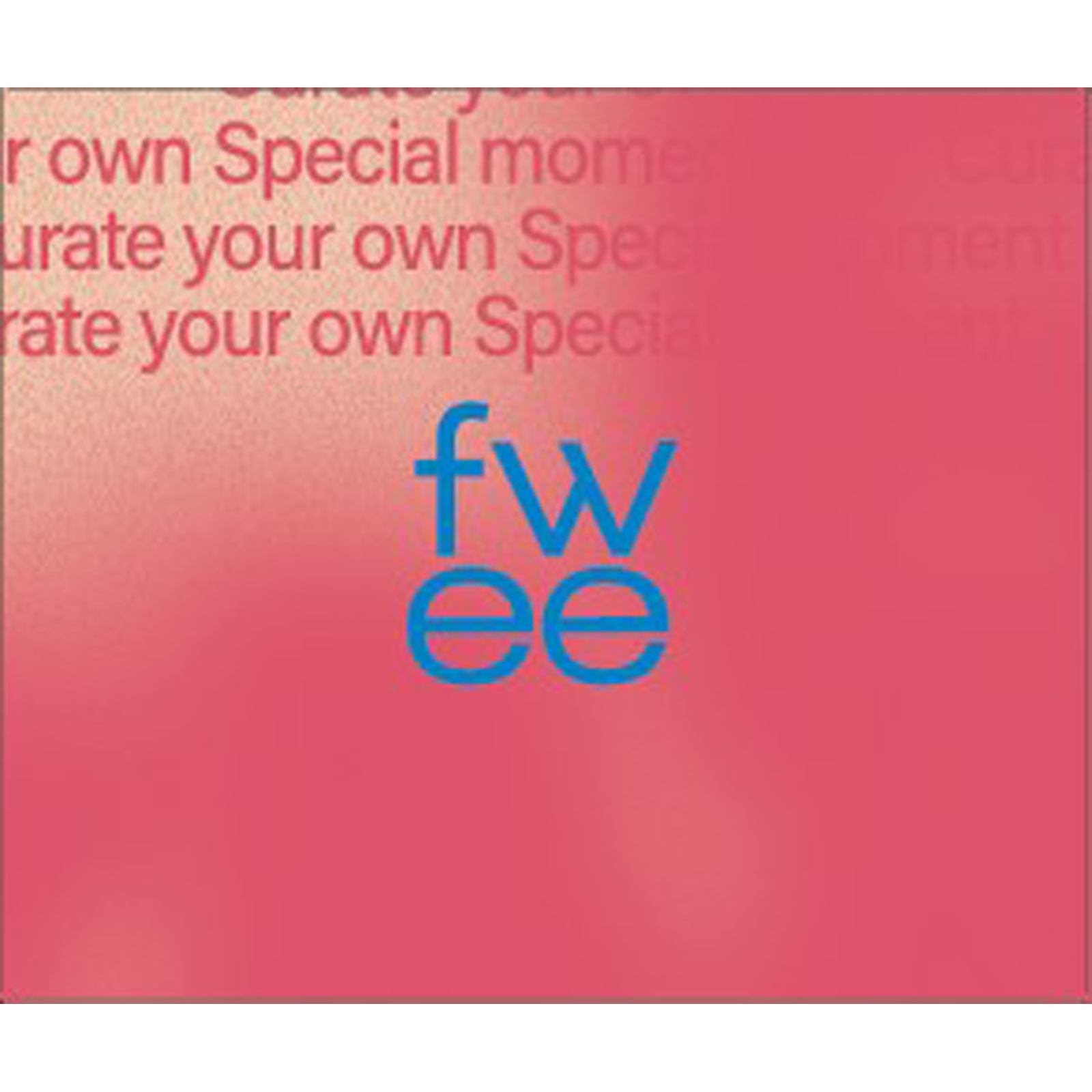 フィー リップアンドチーク ブラーリープリンポットRD04 ファボ ＿ ＢＥＮＯＷ　ＪＡＰＡＮ