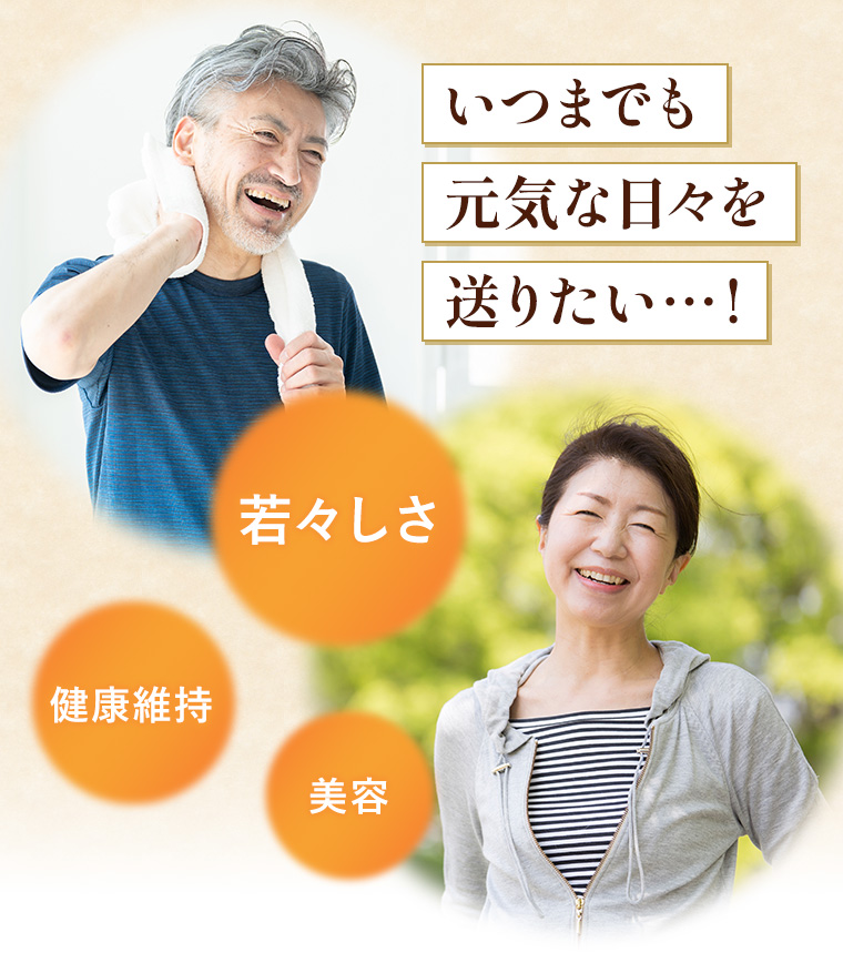 松葉エキス オートエクゼ オートエグゼ(AUTOEXE) ストラットタワーバー