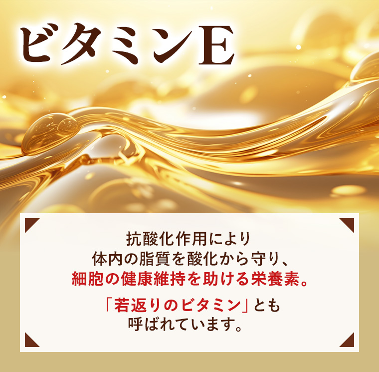 みんまるごさん専用東洋発酵　マツリグニンワン みんまるごさん専用東洋発酵 マツリグニンワン 製品情報 - 株式