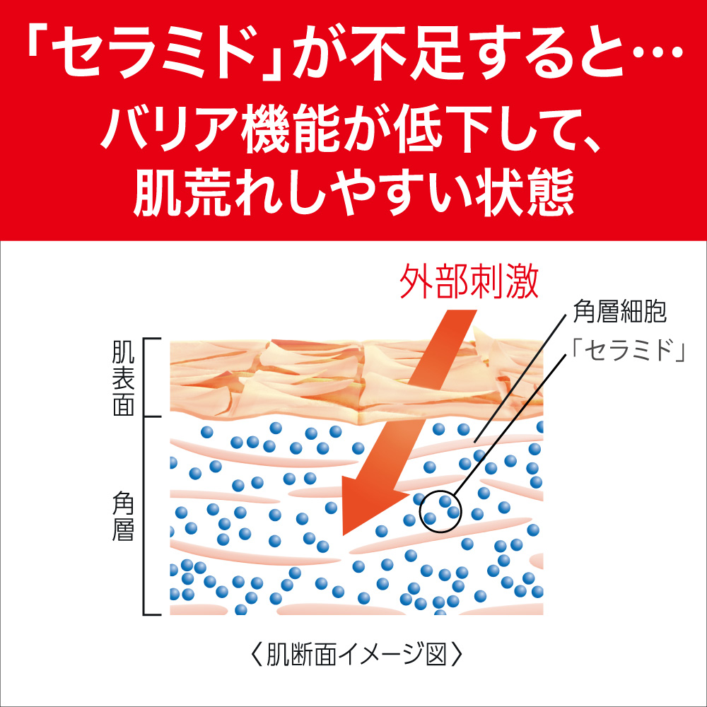 セラミドが不足するとバリア機能が低下して、肌荒れしやすい状態